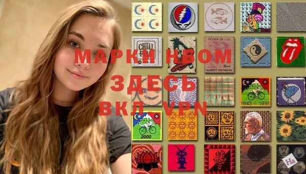 гашик Вязьма