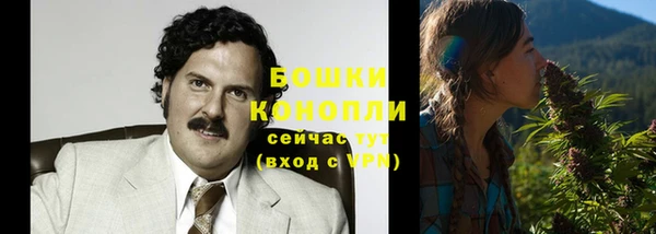 Альфа ПВП Верея