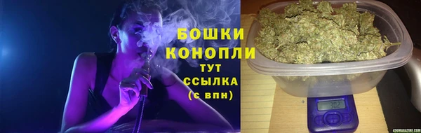 гашик Вязьма