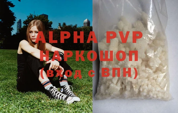 Альфа ПВП Верея
