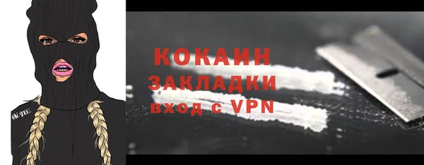 Альфа ПВП Верея