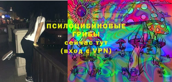 Альфа ПВП Верея