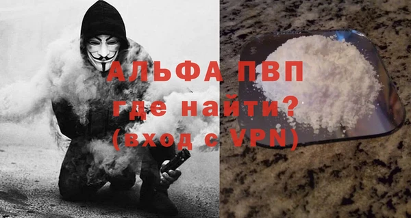 Альфа ПВП Верея