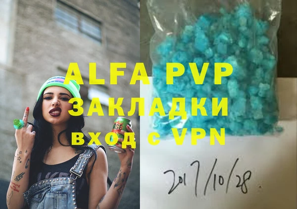 гашик Вязьма