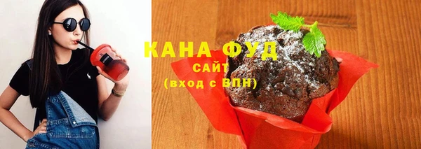 гашик Вязьма